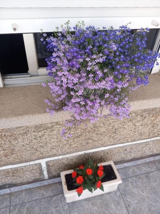 Precioso Apartamento En San Vicente De O Grove San Vicente do Grove Exterior photo